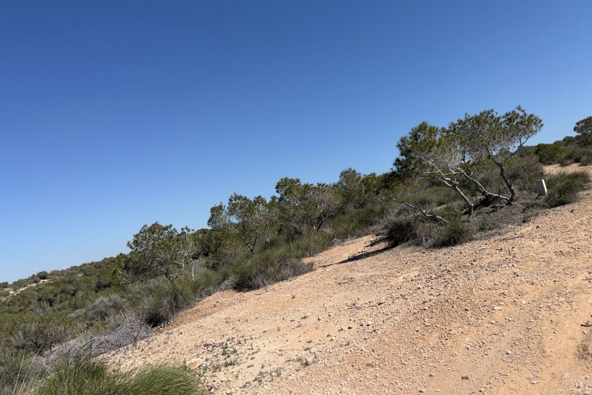 Resale - Plot - San Fulgencio - La Marina