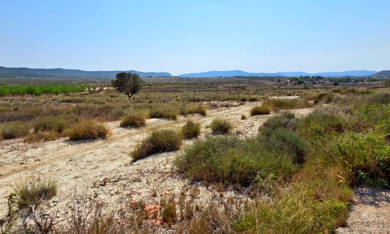 Resale - Plot - San Miguel de Salinas - San Miguel de Salinas Centro