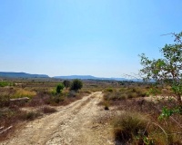Resale - Plot - San Miguel de Salinas - San Miguel de Salinas Centro