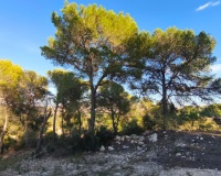 Resale - Plot - Teulada - Teulada Centro
