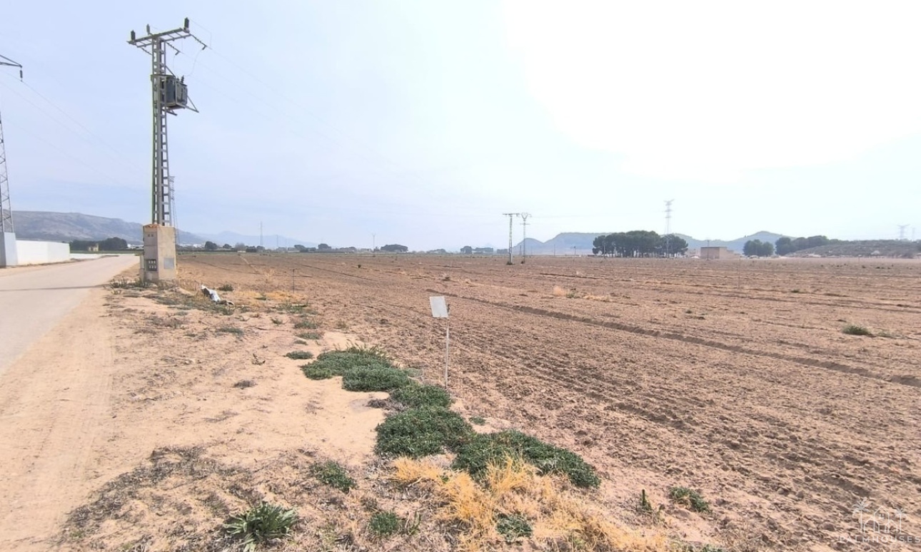 Resale - Plot - Villena - Villena Centro