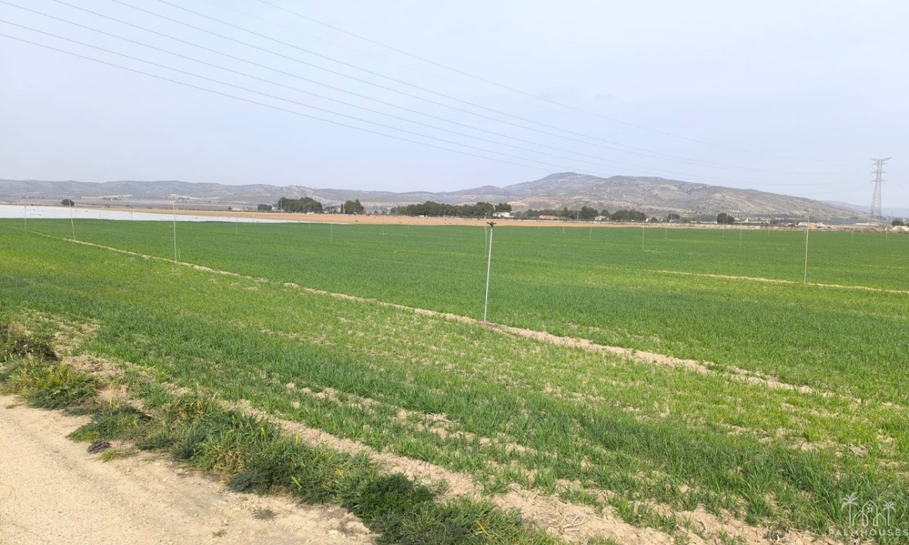 Resale - Plot - Villena - Villena Centro
