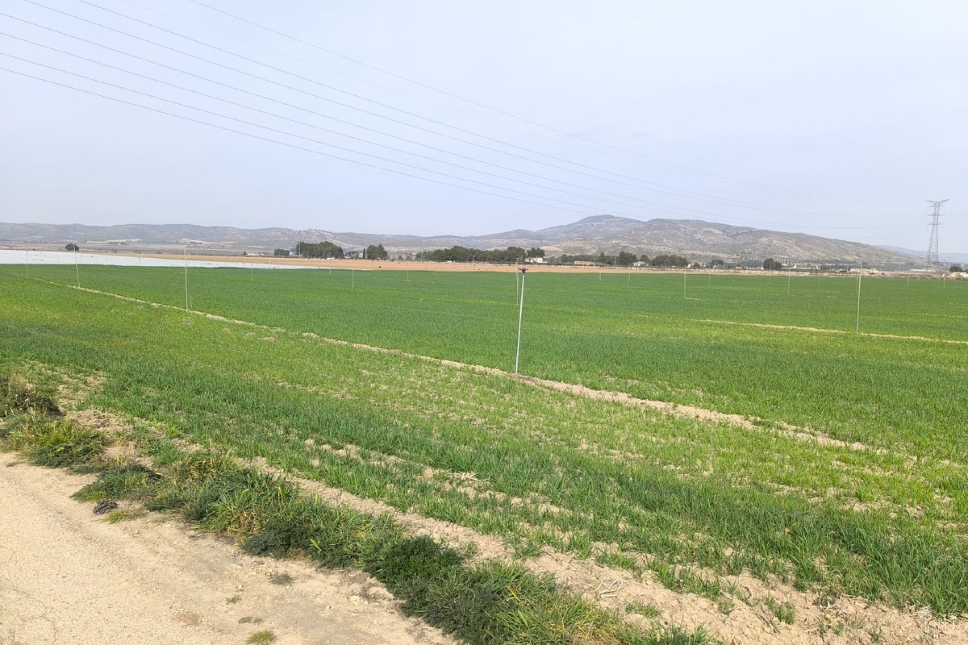 Resale - Plot - Villena - Villena Centro