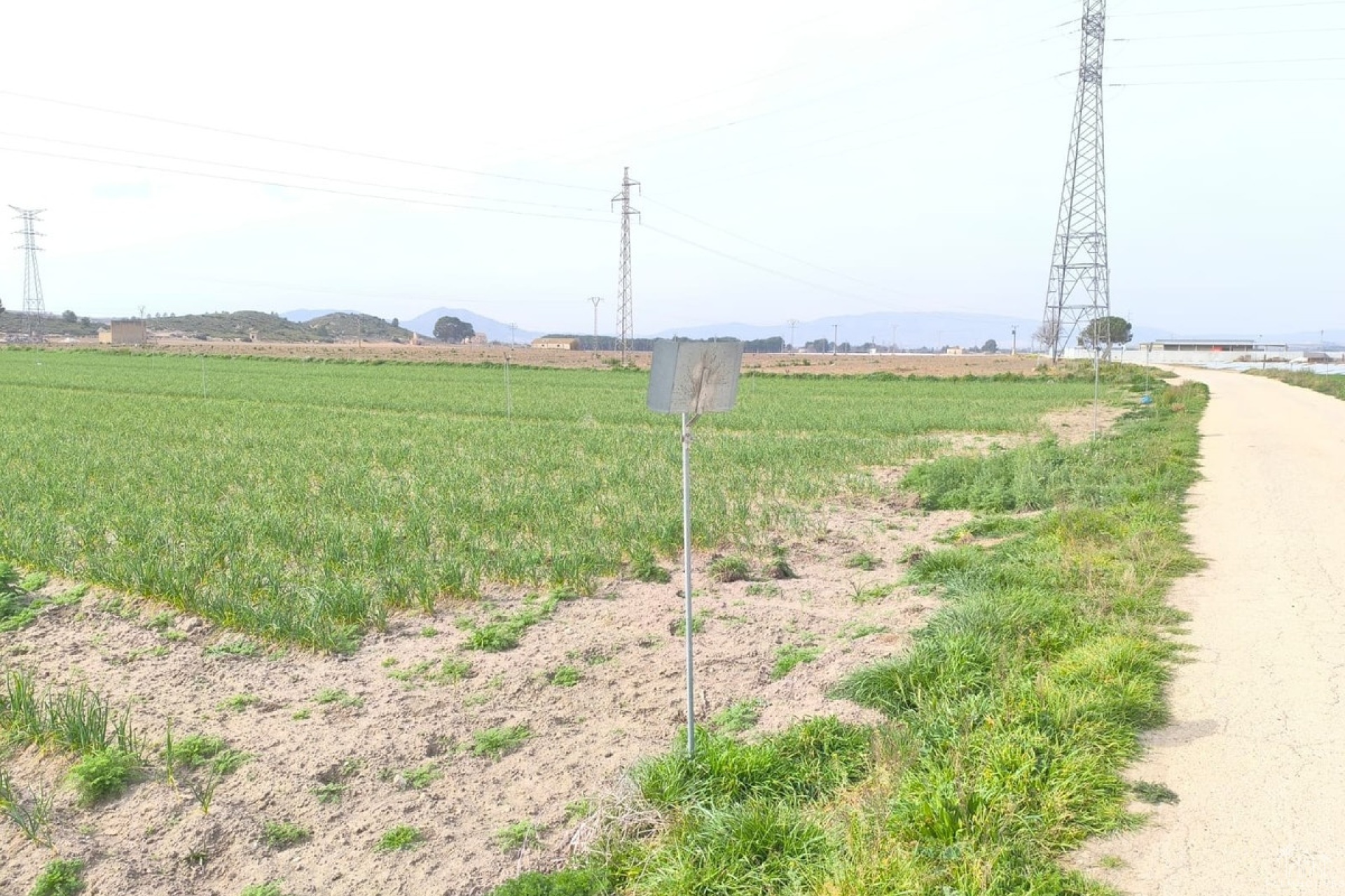 Resale - Plot - Villena - Villena Centro