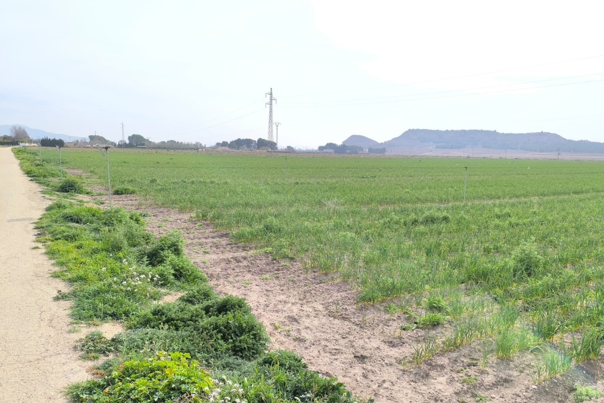 Resale - Plot - Villena - Villena Centro