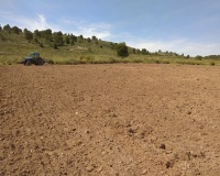 Resale - Plot - Yecla - Yecla Centro