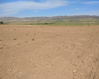 Resale - Plot - Yecla - Yecla Centro