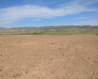 Resale - Plot - Yecla - Yecla Centro