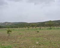 Resale - Plot - Yecla - Yecla Centro