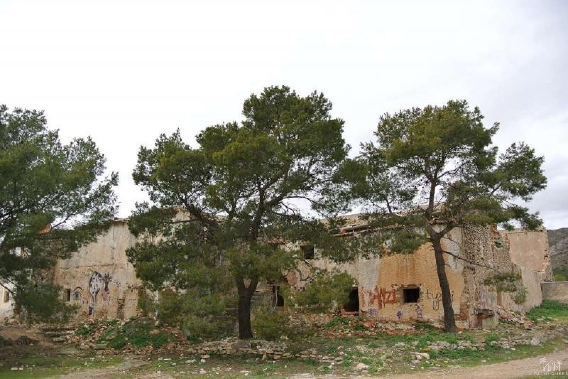 Resale - Plot - Yecla - Yecla Centro