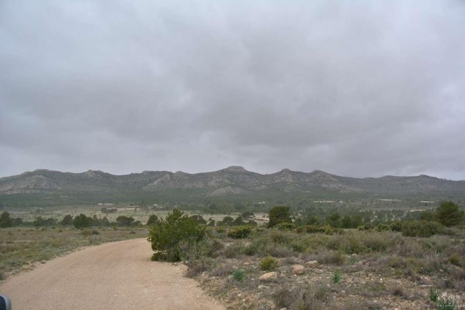 Resale - Plot - Yecla - Yecla Centro