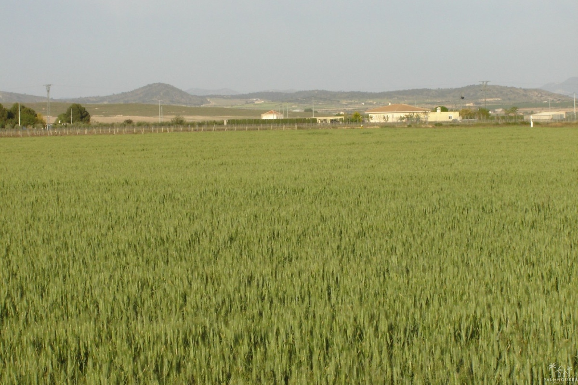 Resale - Plot - Yecla - Yecla Centro