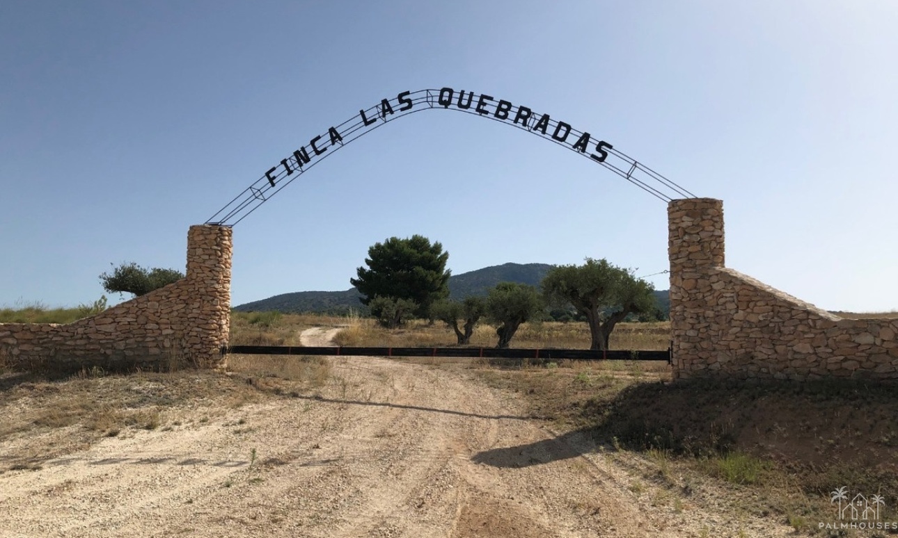 Resale - Plot - Yecla - Yecla Centro