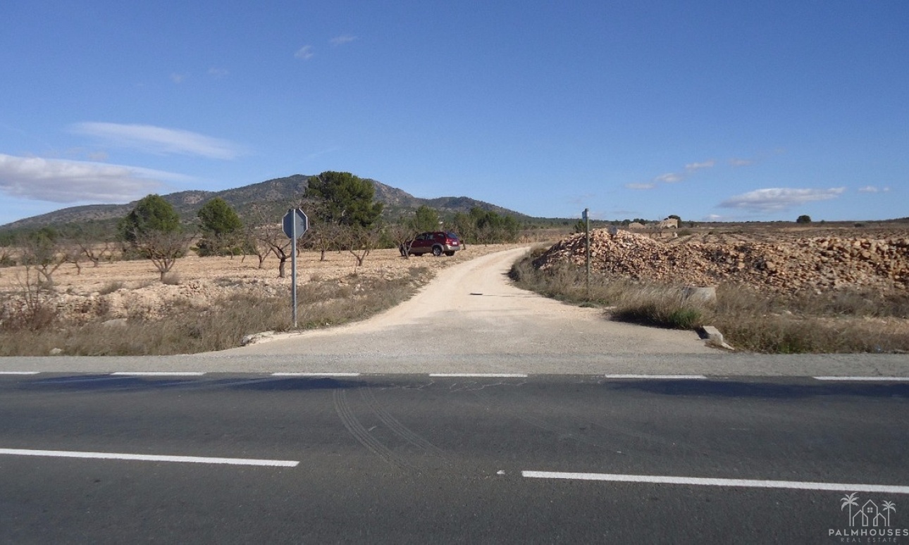 Resale - Plot - Yecla - Yecla Centro