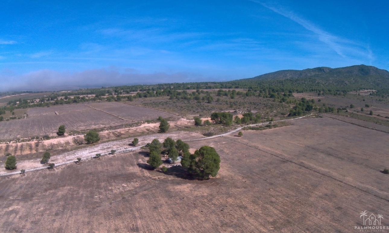Resale - Plot - Yecla - Yecla Centro