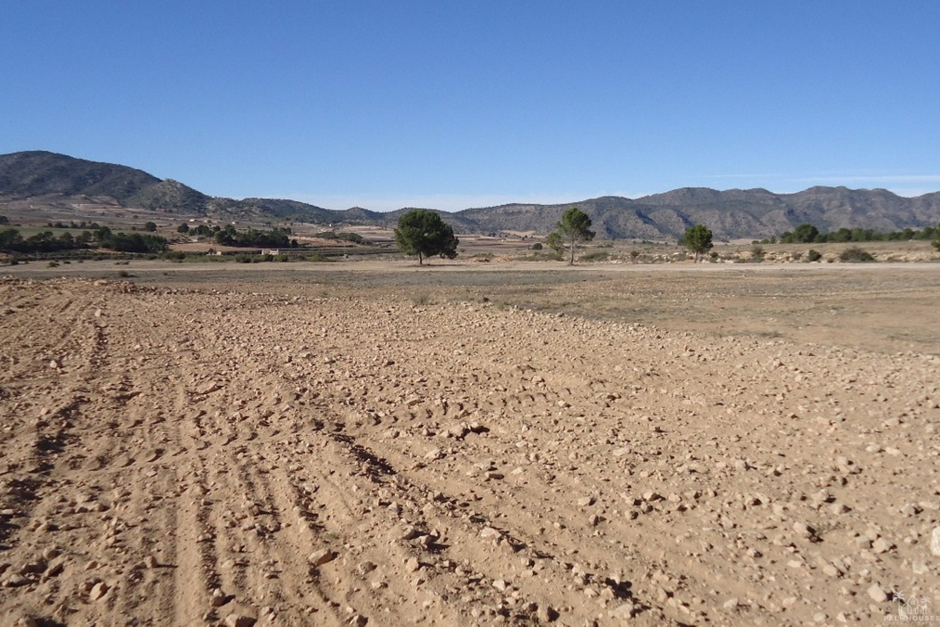 Resale - Plot - Yecla - Yecla Centro