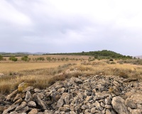 Resale - Plot - Yecla - Yecla Centro