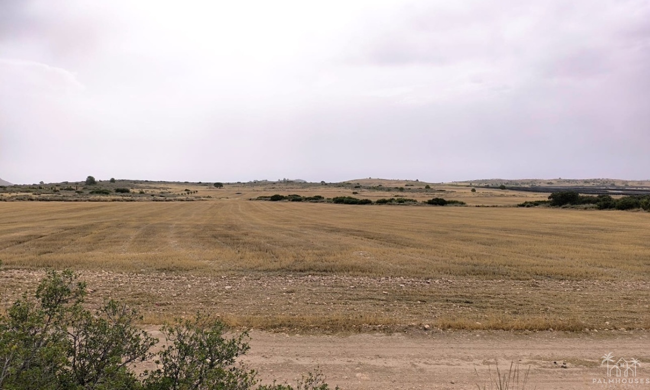 Resale - Plot - Yecla - Yecla Centro