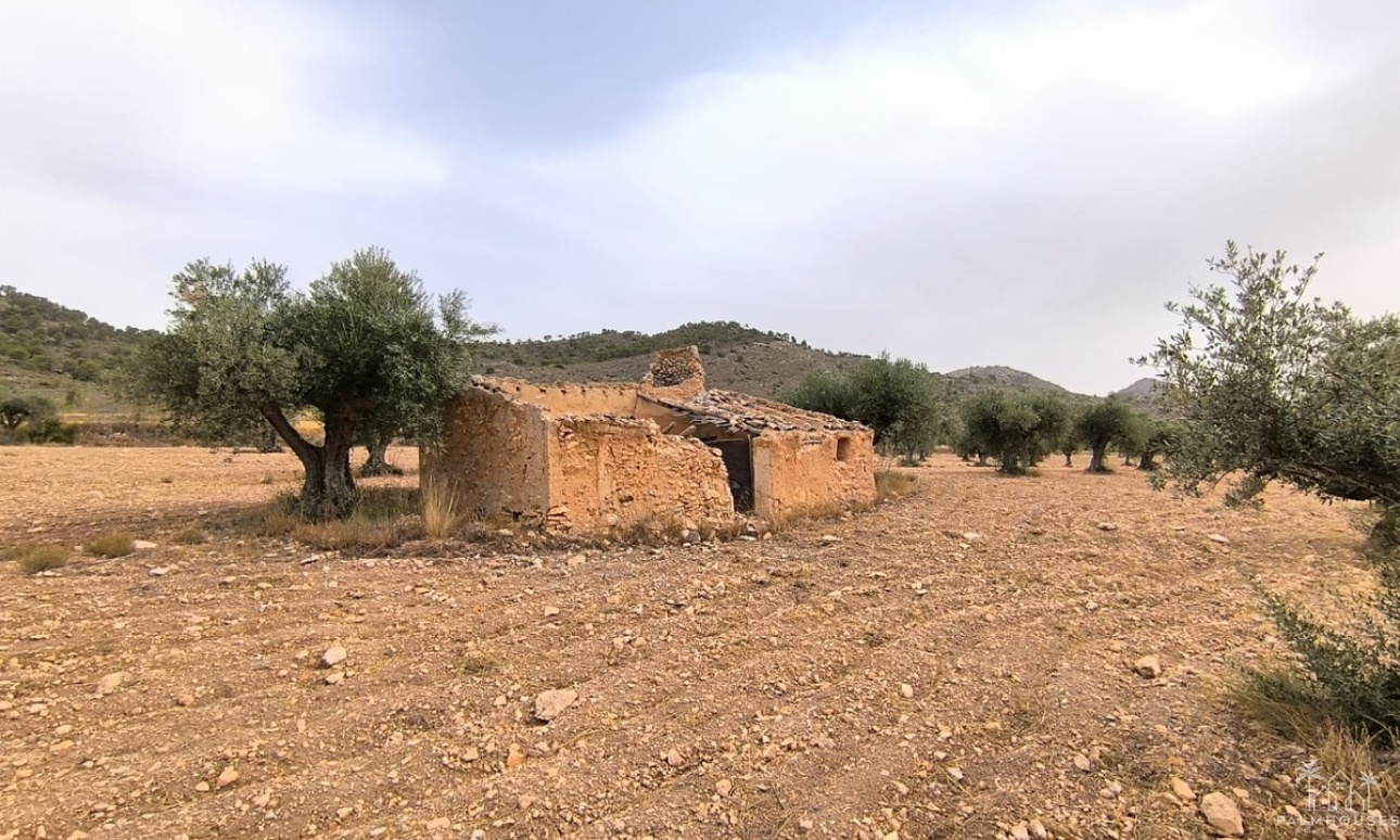 Resale - Plot - Yecla - Yecla Centro