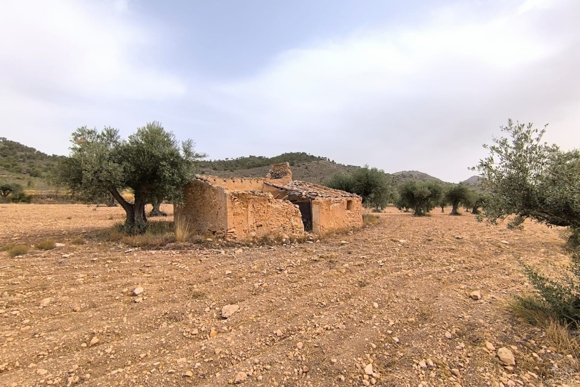 Resale - Plot - Yecla - Yecla Centro