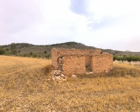 Resale - Plot - Yecla - Yecla Centro