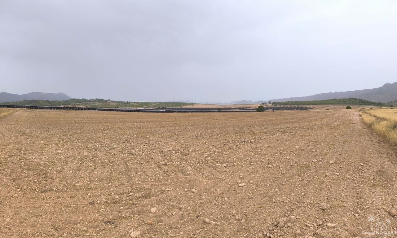 Resale - Plot - Yecla - Yecla Centro