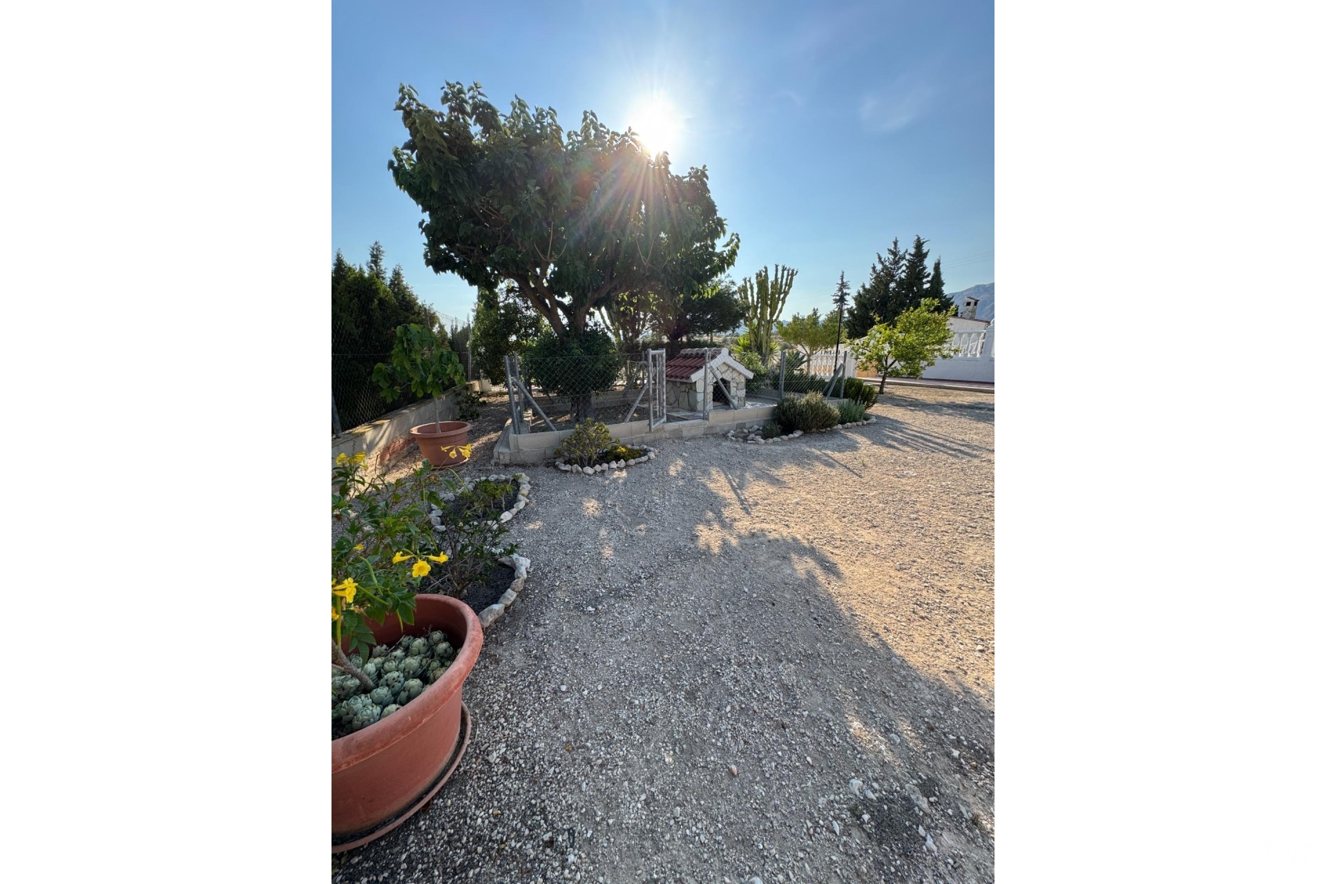 Resale - Villa - Albatera - Partida Lomas