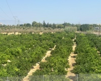 Resale - Villa - Algorfa - Algorfa Centro