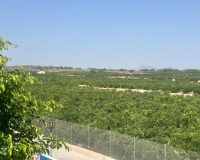 Resale - Villa - Algorfa - Algorfa Centro
