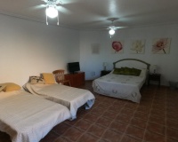 Resale - Villa - Algorfa - Algorfa Centro