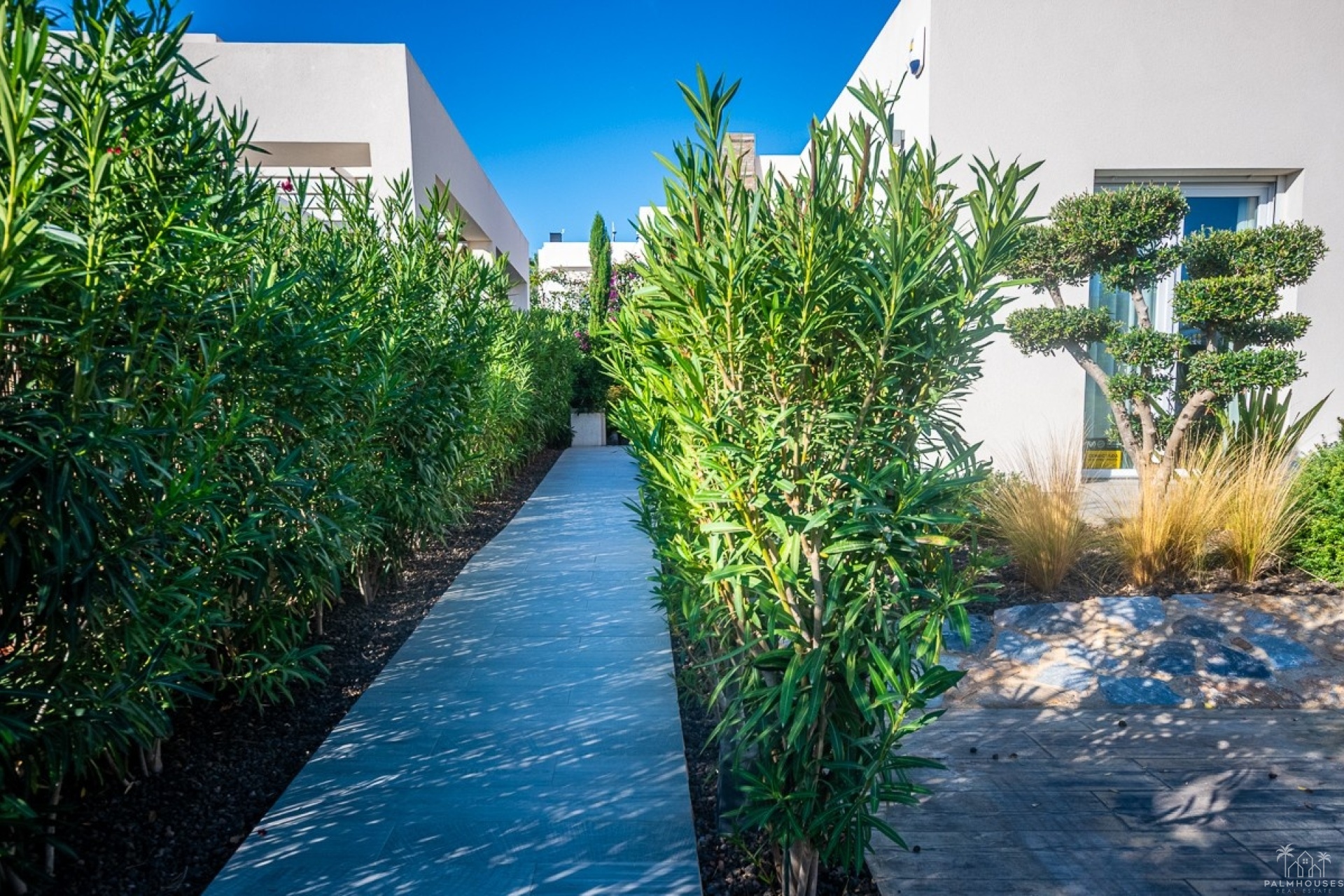 Resale - Villa - Algorfa - Inland