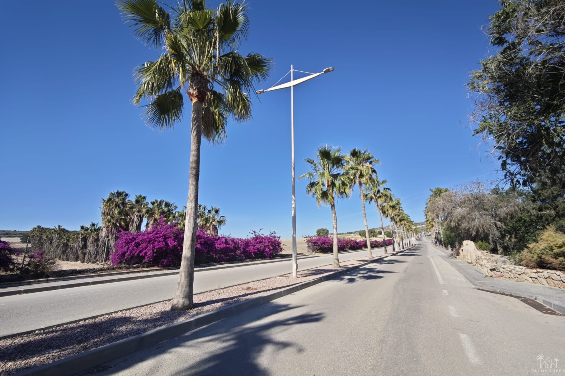 Resale - Villa - Algorfa - Inland