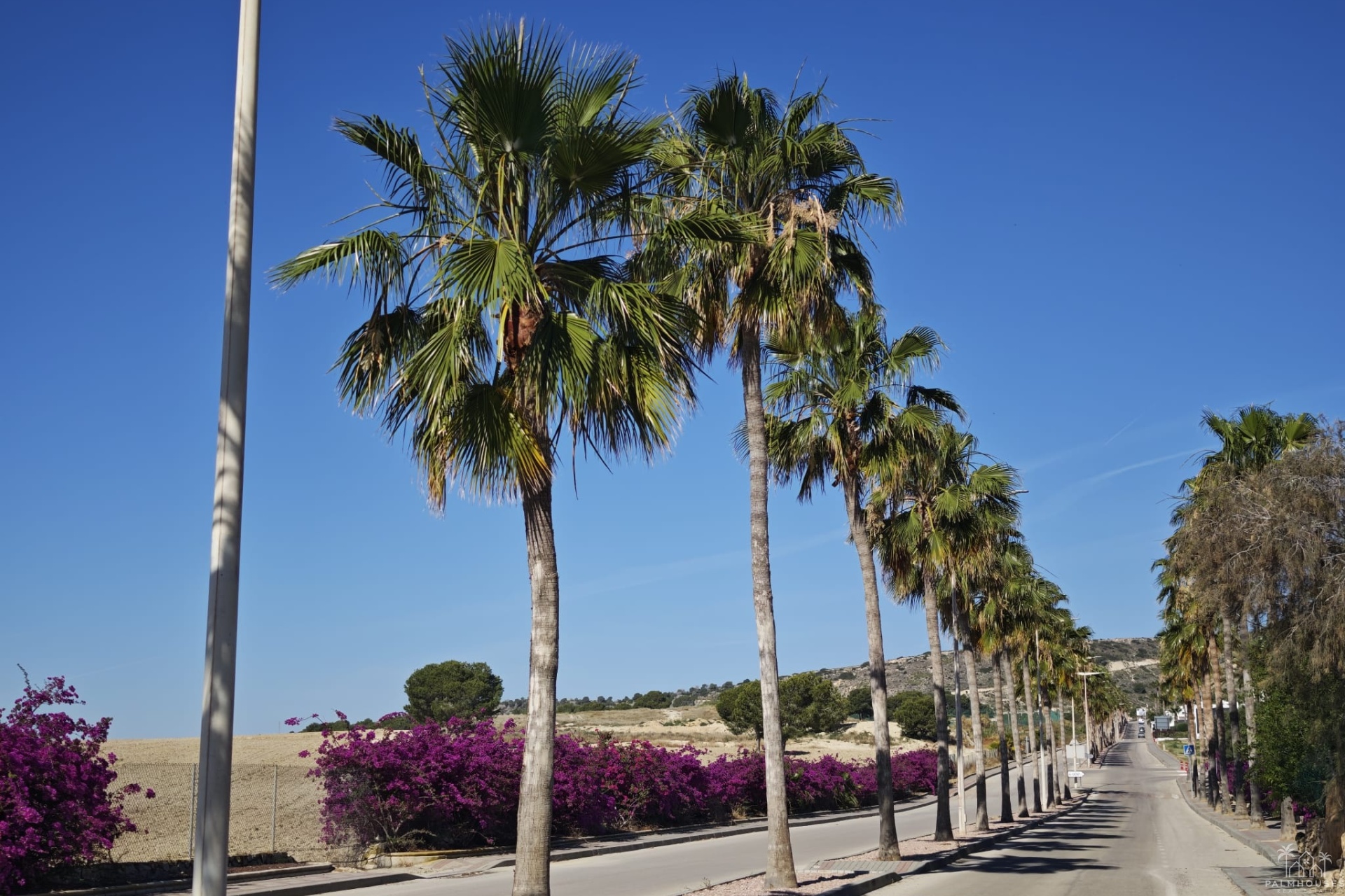 Resale - Villa - Algorfa - Inland