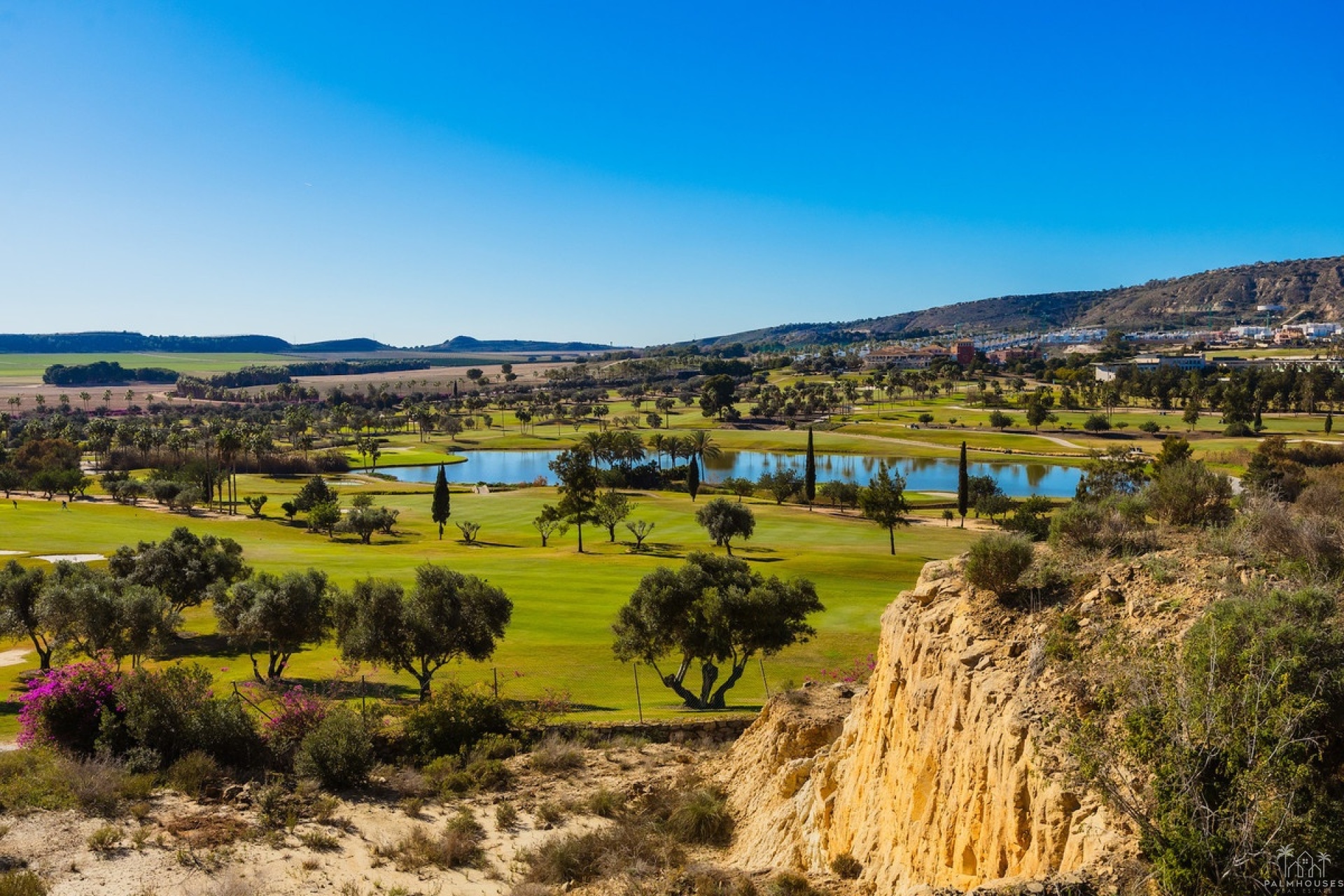 Resale - Villa - Algorfa - La Finca Golf