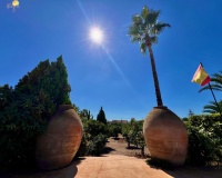 Resale - Villa - Almoradi - Comunidad Valenciana