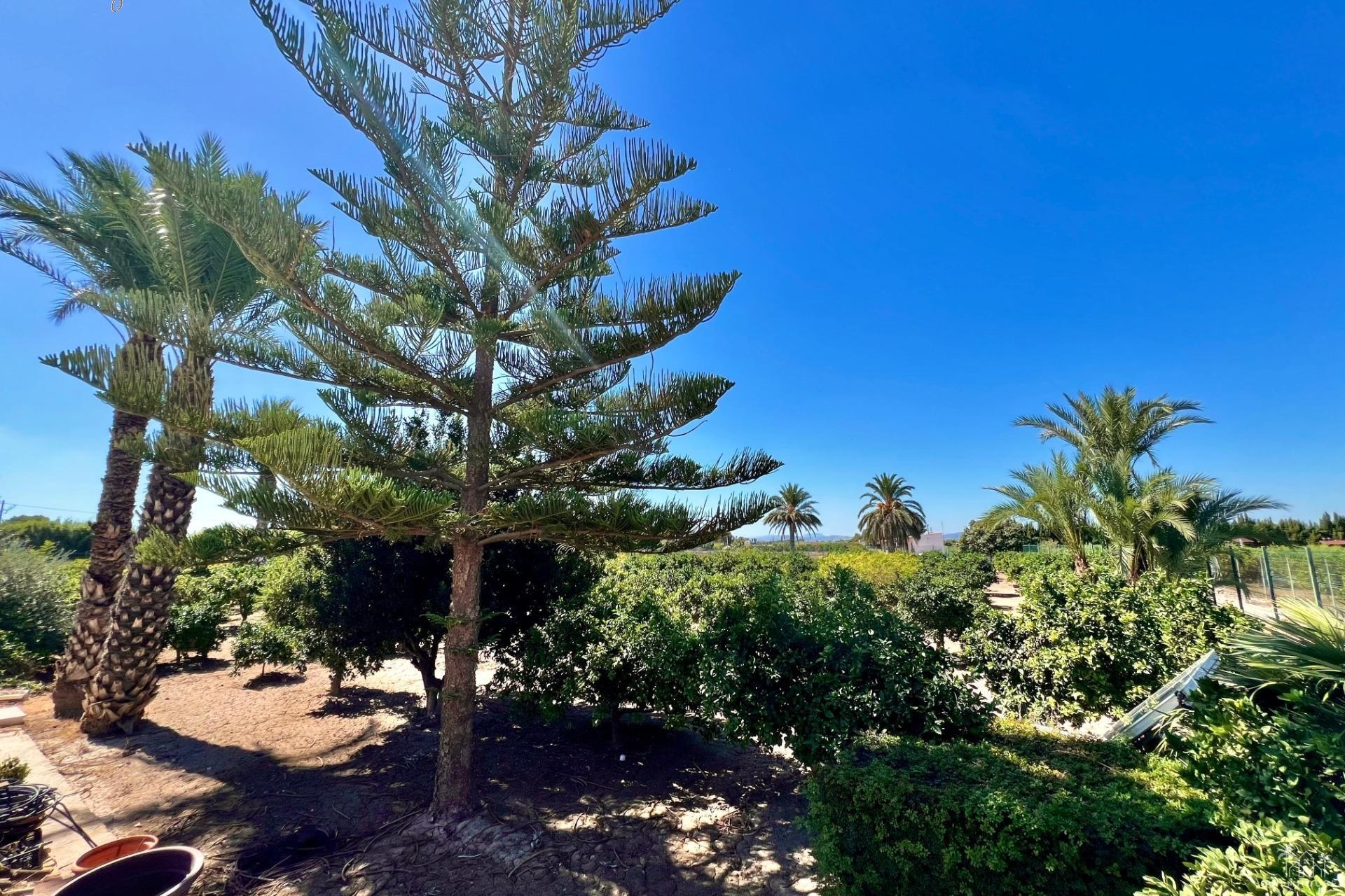 Resale - Villa - Almoradi - Comunidad Valenciana