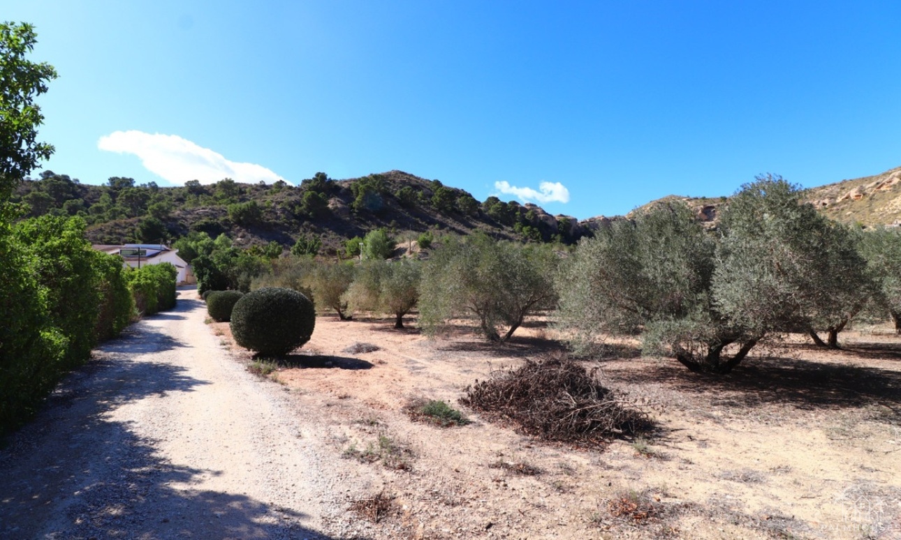 Resale - Villa - Aspe - Aspe Centro