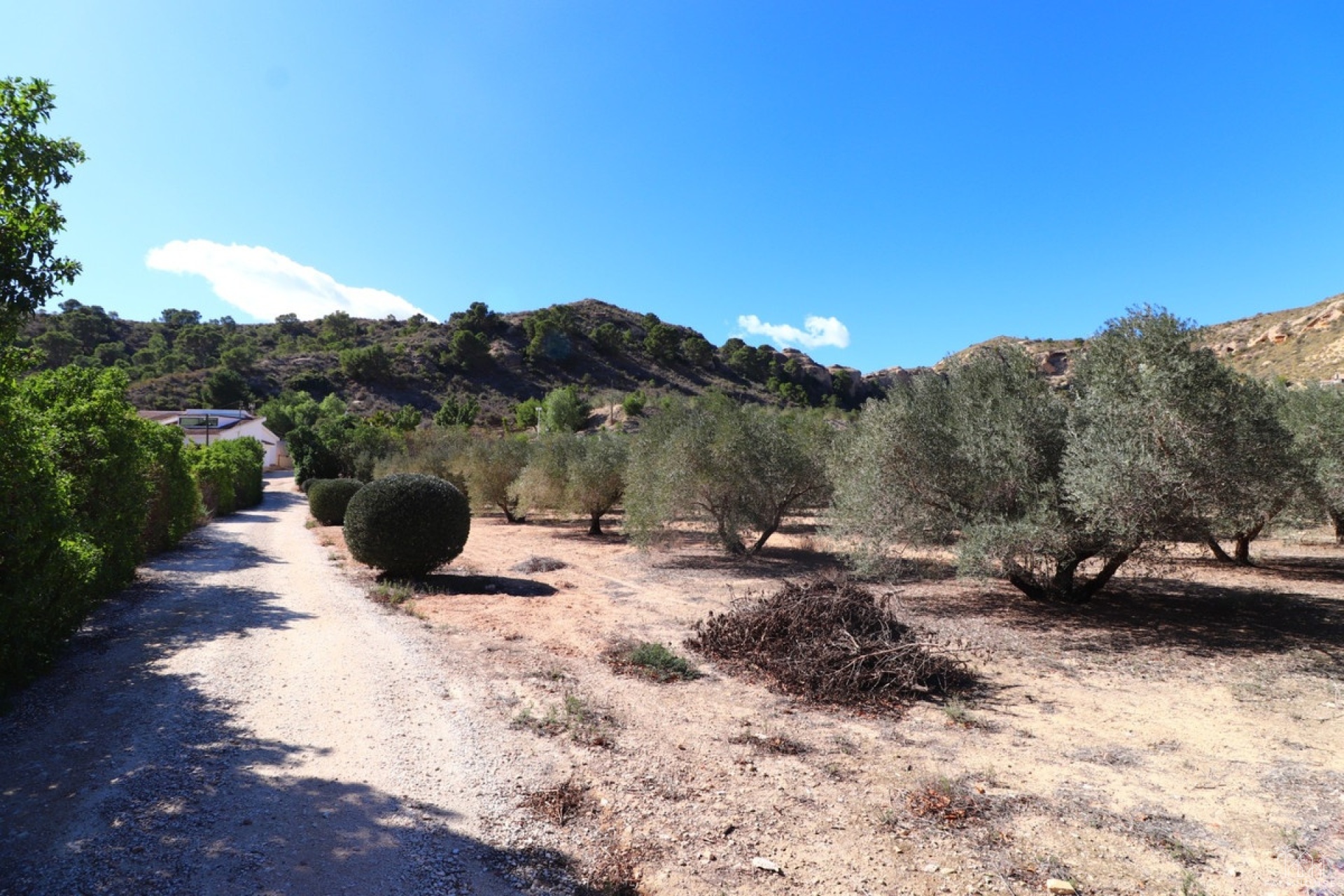 Resale - Villa - Aspe - Aspe Centro
