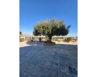 Resale - Villa - Bigastro - Inland