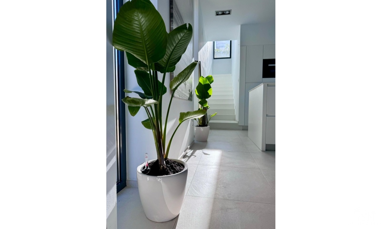 Resale - Villa - Calpe - Calpe Centro