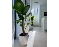 Resale - Villa - Calpe - Calpe Centro