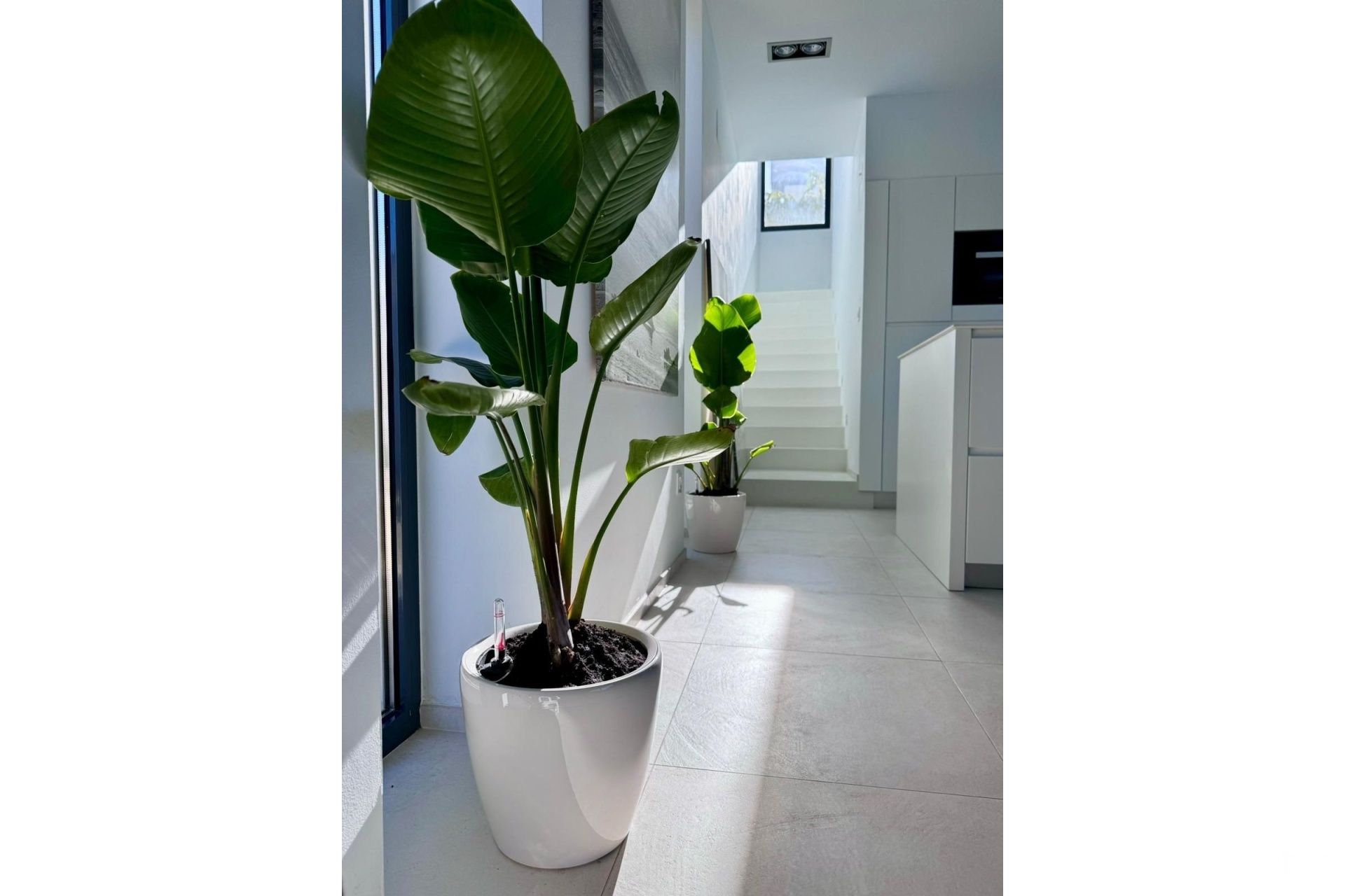 Resale - Villa - Calpe - Calpe Centro