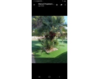 Resale - Villa - Campoamor - Costa Blanca