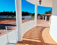 Resale - Villa - Catral - Catral Centro