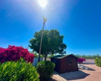 Resale - Villa - Catral - Catral Centro