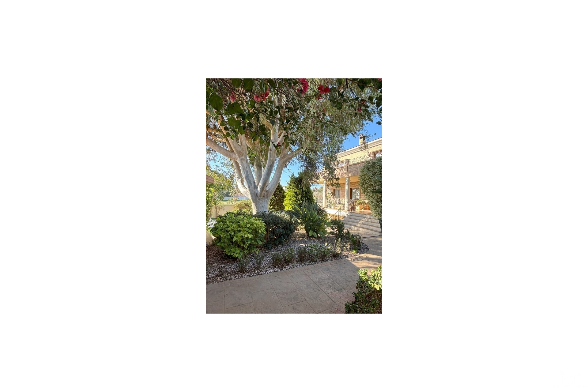 Resale - Villa - Ciudad Quesada - Costa Blanca