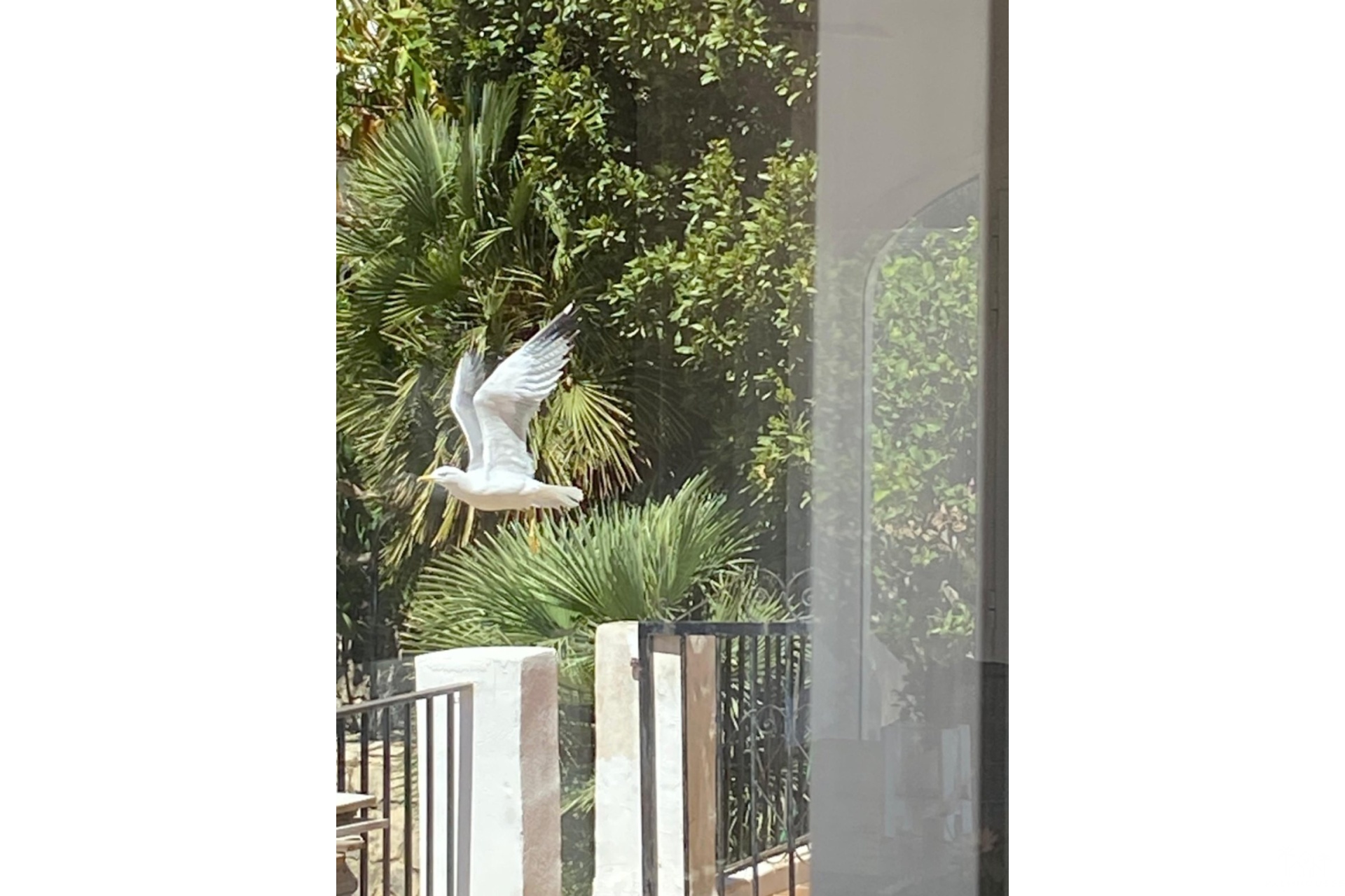 Resale - Villa - Denia - Denia Centro