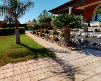 Resale - Villa - Elche - Costa Blanca