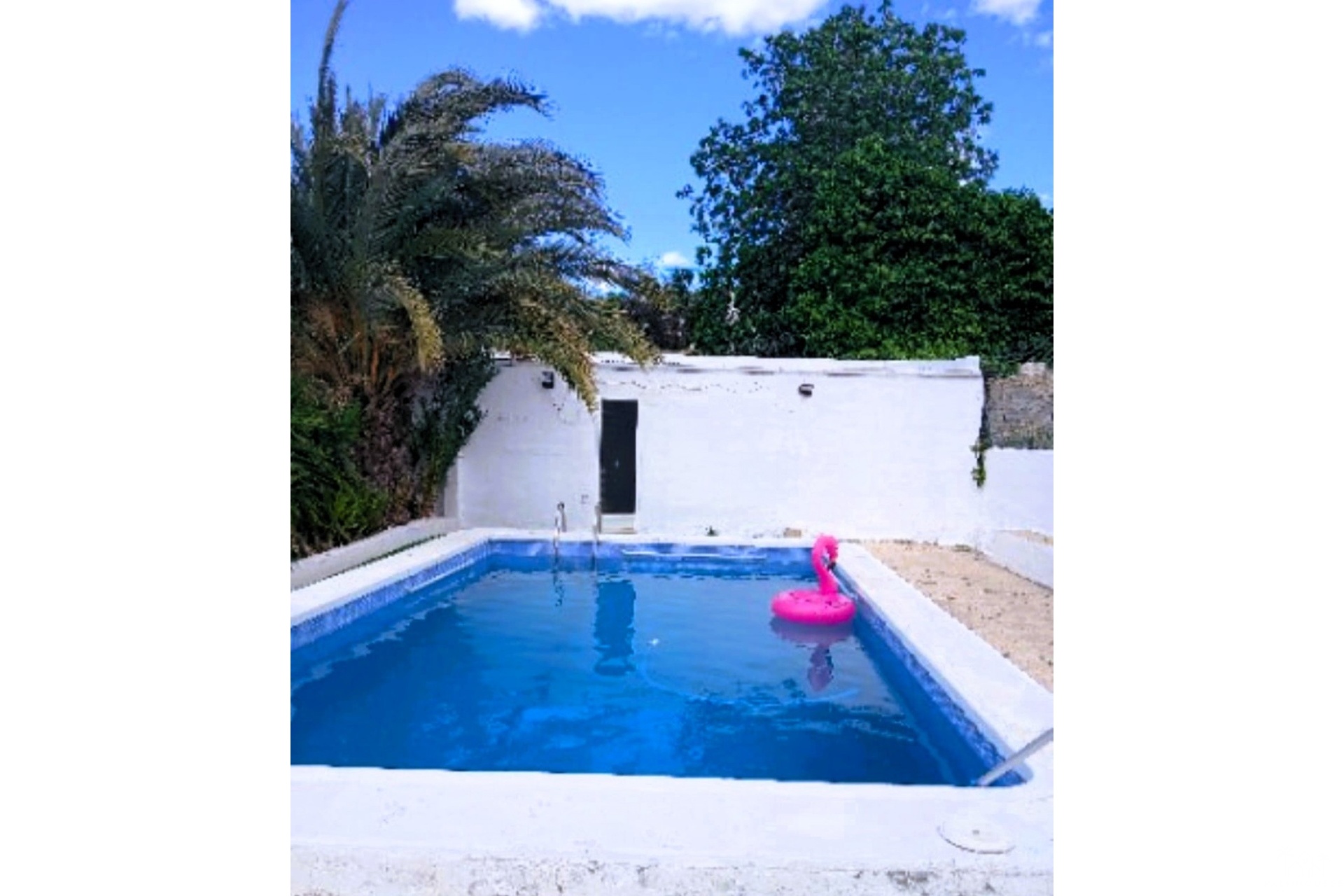 Resale - Villa - Elche - Elche Centro