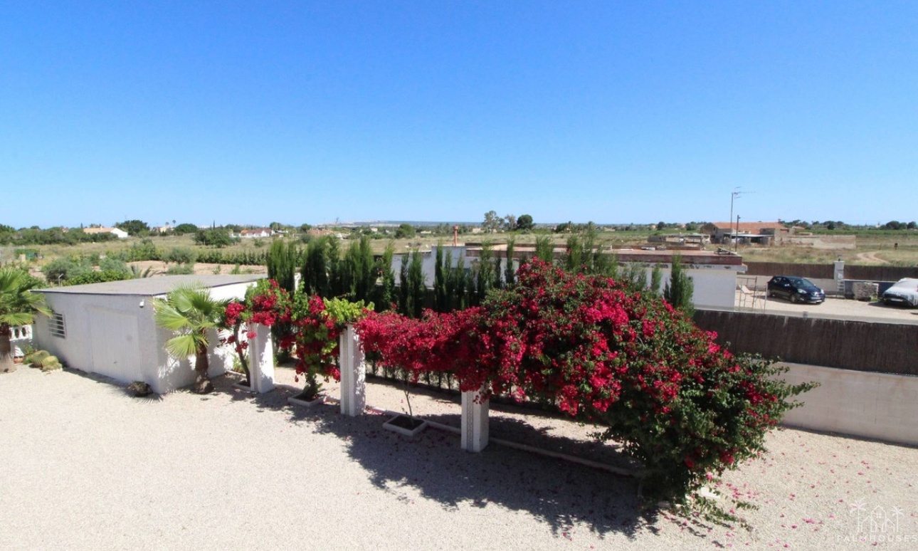 Resale - Villa - Elche - Elche Centro